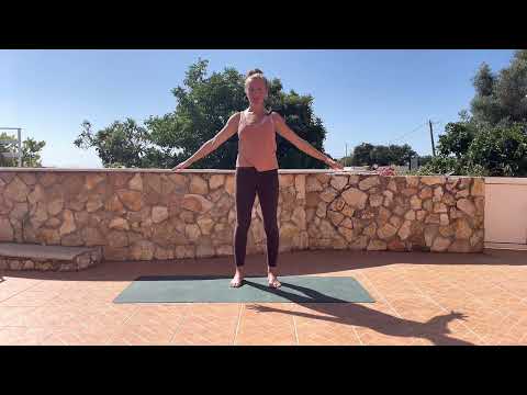 Cover image for the Undo the desk body practice